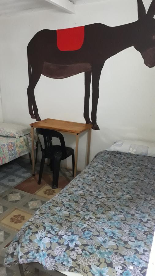Paljas Backpackers 호텔 포체프스트룸 외부 사진